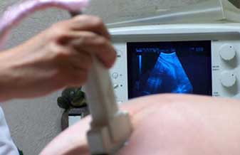 Consultório Dra Maria Selma Silva Kataoka - Foto 1