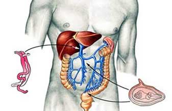Eduardo Castelo Branco Leao Neto - Foto 1