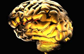 Hospital Sao Jose - Foto 1