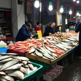 comercializar pescado em Castanhal
