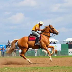 MPPA rodeio de touros Castanhal