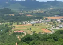 Operação Coalizão pela Paz