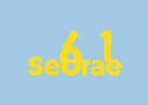 programa de trainees Sebrae Pará