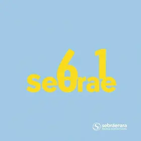 programa de trainees Sebrae Pará
