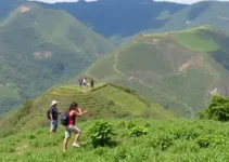 estágio