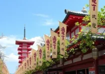 2º Festival Natsu Matsuri