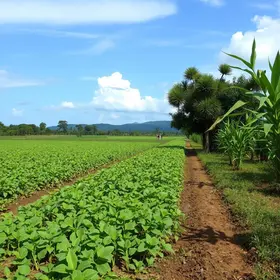 eventos do agro